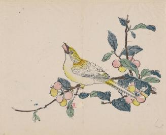 Bird Eating Berries, from the Ten Bamboo Studio Calligraphy and Painting Manual