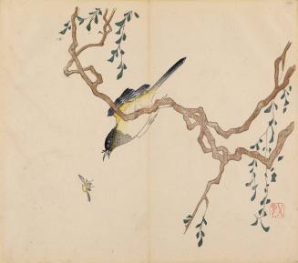 Bird, Bee, and Wisteria, from the Ten Bamboo Studio Calligraphy and Painting Manual