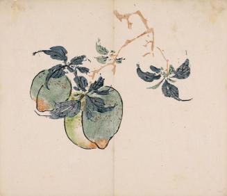 Ripening Peaches, from the Ten Bamboo Studio Calligraphy and Painting Manual
