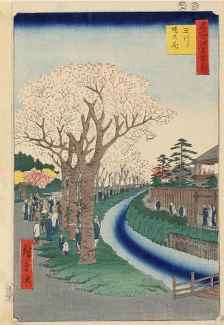 Cherry Trees in Blossom on the Tama River Embankment (Tamagawa-zutsumi no hana), from the series One Hundred Famous Views of Edo (Meisho Edo hyakkei)