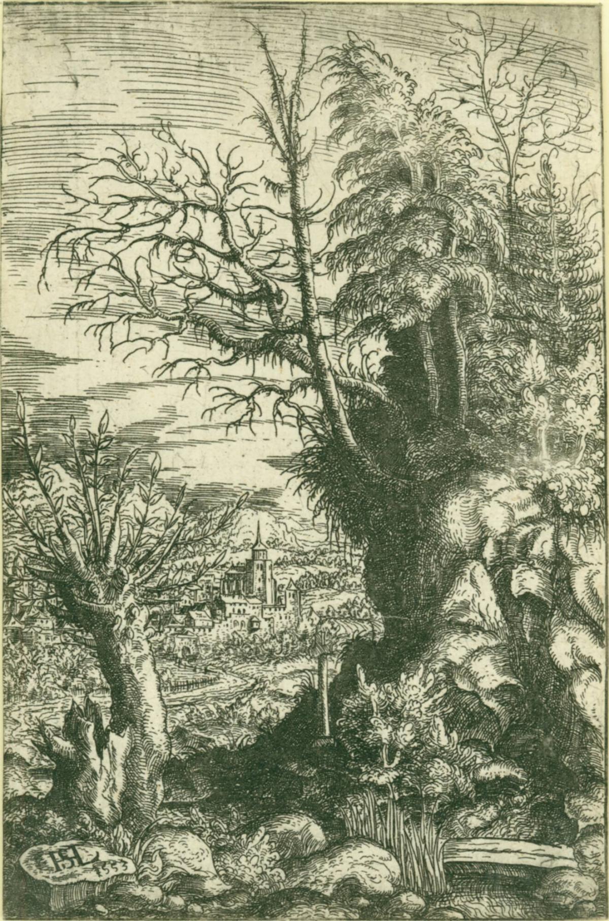 Upright Landscape with High, Wooded Cliff