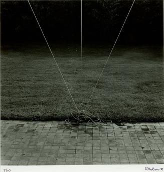 Untitled (Field of Grass with Suspended Wires)