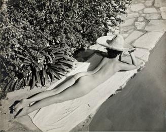 Nude Female Sunbather