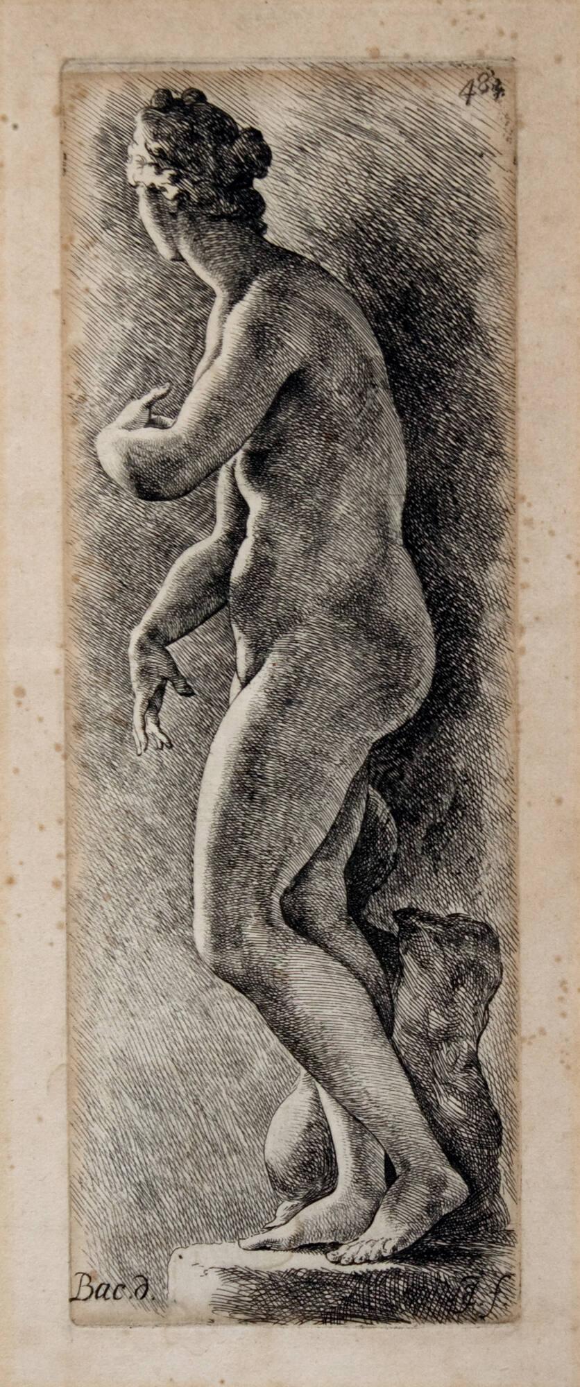 Aphrodite, plate 48