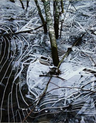 Ice and Adler, Sandy River