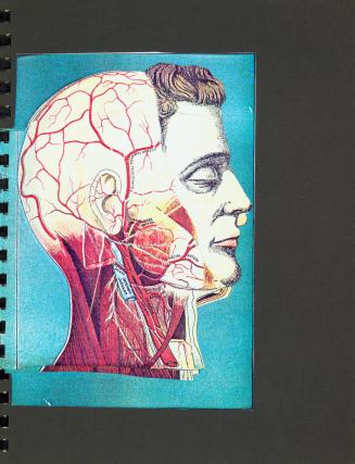 Untitled (Anatomical Prints of a Human Skull), from Cobalt Myth Mechanics
