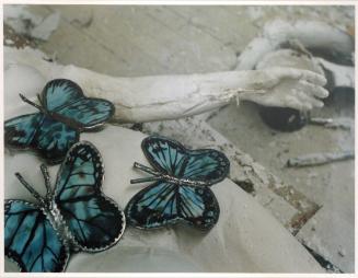 Untitled, from the series Butterfly Body