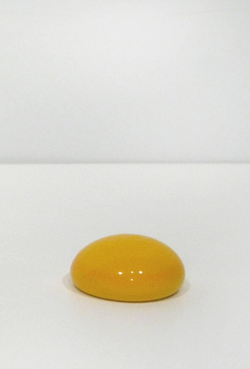 Yolk