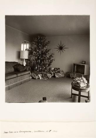 Xmas Tree in a Living Room, Levittown, NY, from the portfolio A Box of Ten Photographs