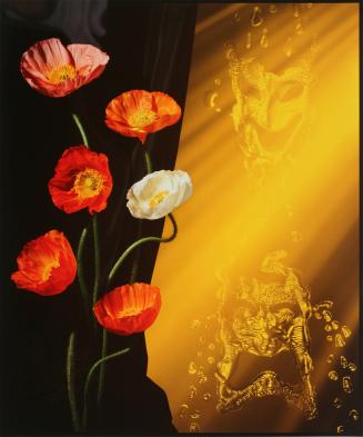 Poppies, from the portfolio In a Dream You Saw a Way to Survive and You Were Full of Joy