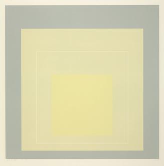 White Line Square VII