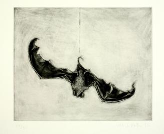 Dead Bat, from the Olive Press Print Portfolio: 1992 - 1993 Visiting Artists and Printers