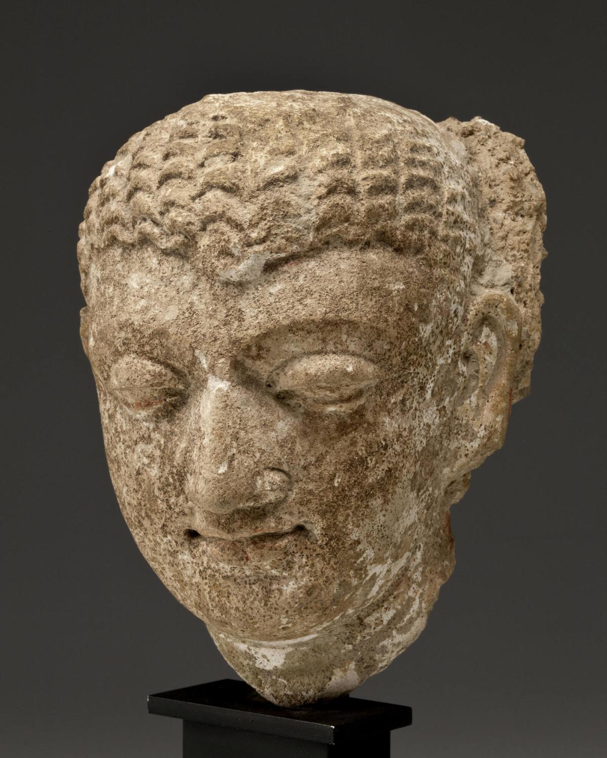 Head of the Buddha