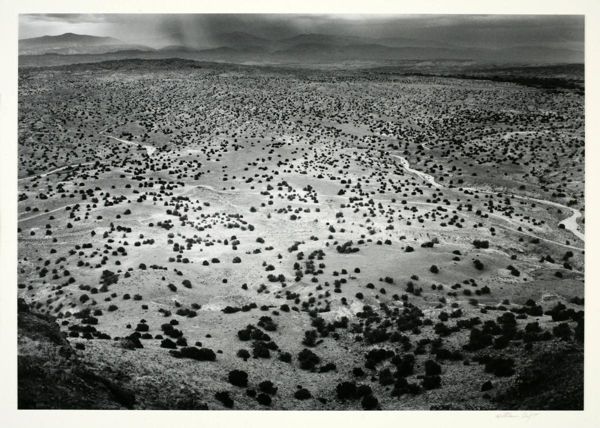 Landscape, from the portfolio New Mexico