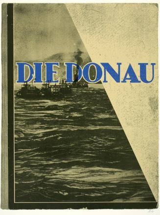Die Donau, from the portfolio, In Our Time: Covers for a Small Library After the Life for the Most Part