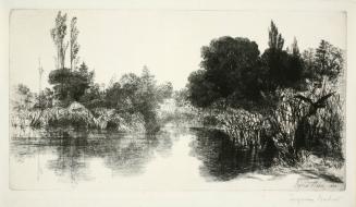 Shere Mill Pond, Surrey