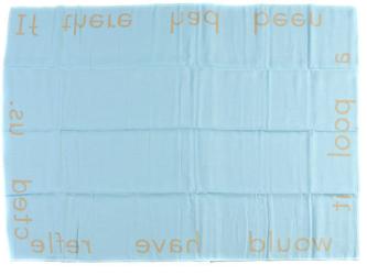 Non-AMAM Reference Image