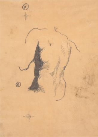 Back of a Male Nude