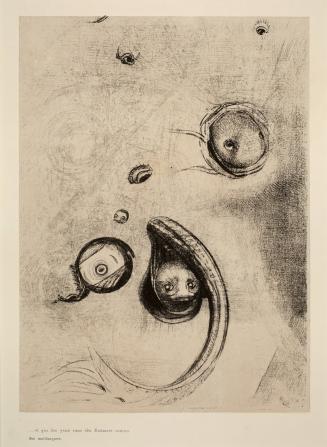 And the eyes without heads were floating like molluscs, plate 13 from The Temptation of St. Anthony