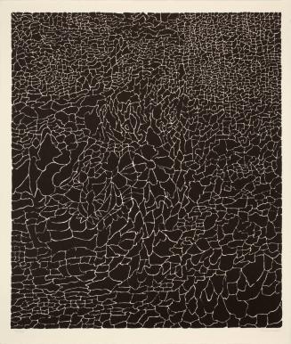 #207