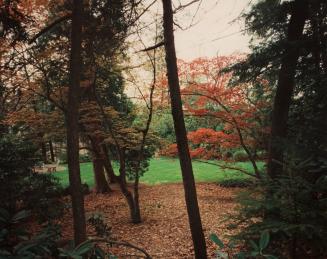 Saddle River, N.J., 1978, from the portfolio Joe Maloney/Dye Transfer