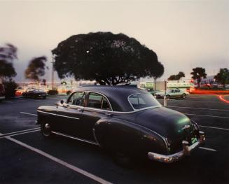 Sausalito, Ca., 1979, from the portfolio Joe Maloney/Dye Transfer