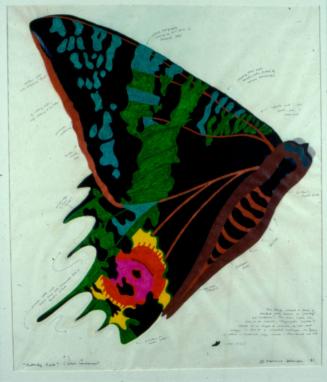 Butterfly Park (Color Landscape)