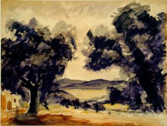 St. Tropez, les gros arbres