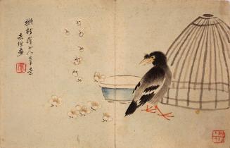 Myna Bird and Plum Blossoms, from the album Birds and Flowers; Landscapes