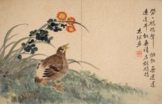 Francolin, from the album Birds and Flowers; Landscapes