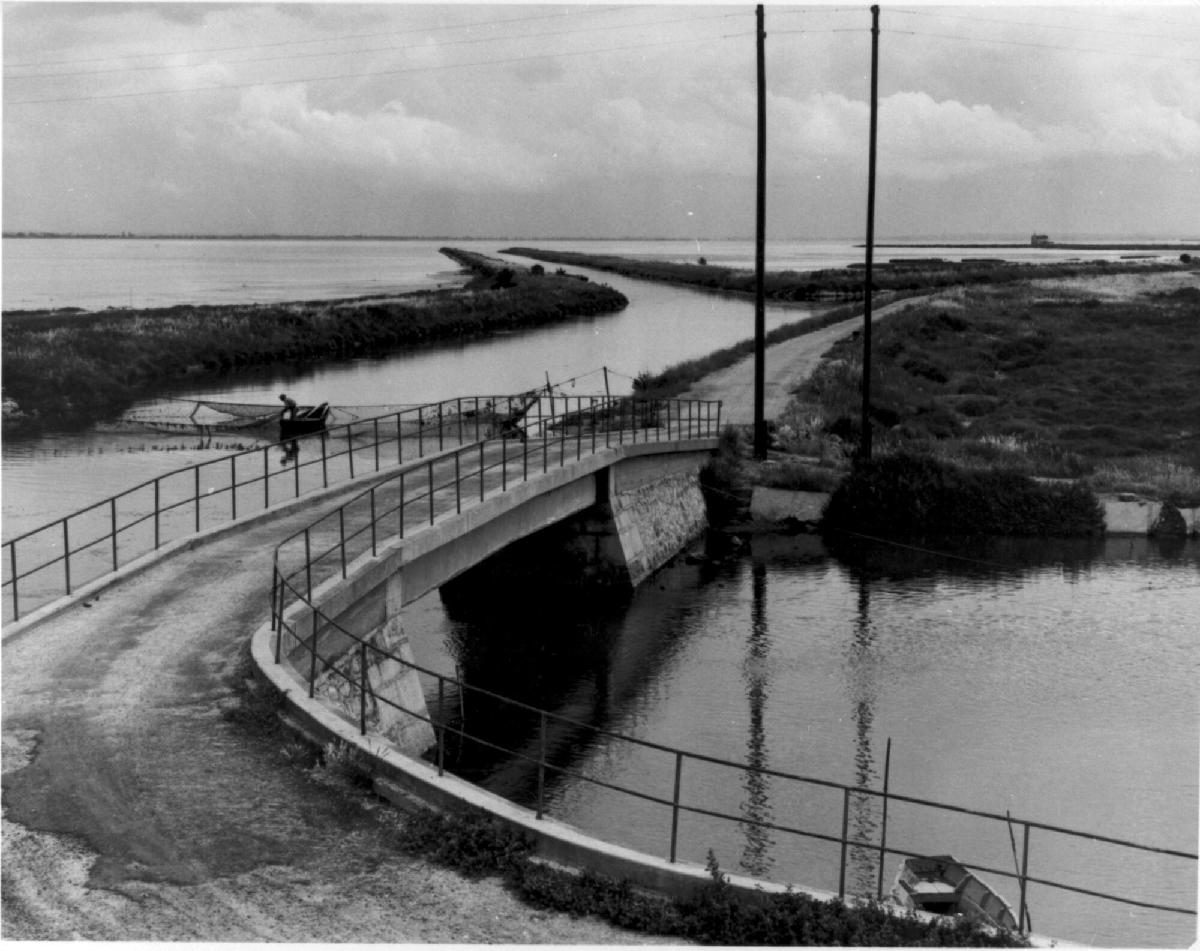 The Camargue, France, from Portfolio Three