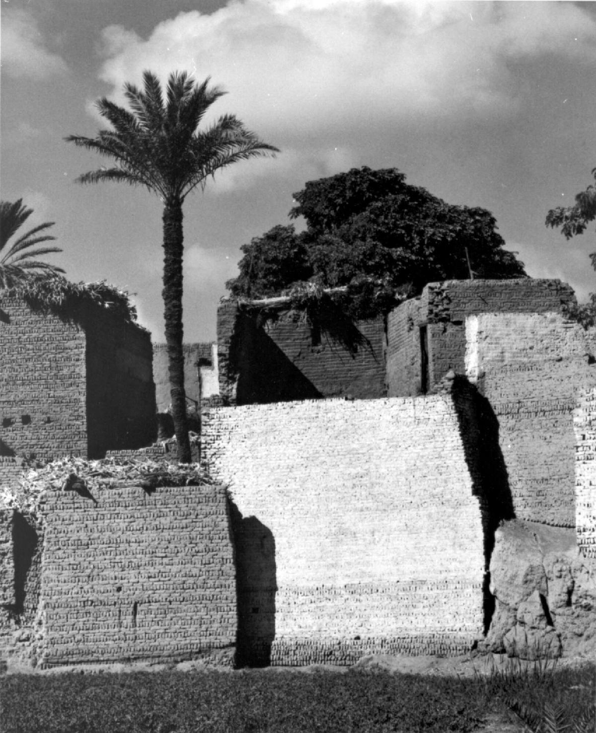 Bani Salah, Fayyum, Egypt, from Portfolio Four