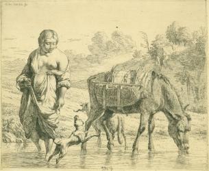 Karel Dujardin