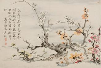 Prunus Blossoms, from the album Flowers, Rocks, Bamboo, and Landscapes
