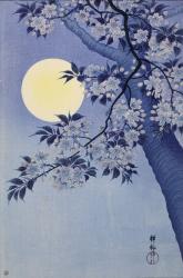 Koson Ohara (Ohara Koson 小原古邨)