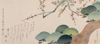 Pine Tree and Plum Blossom