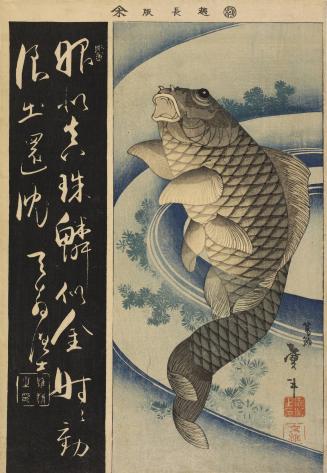 Carp and Water Weeds, from an untitled harimaze series