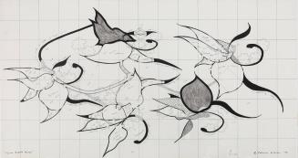 Swan Orchid House