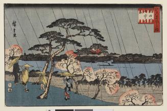 Cherry Trees in the Rain beside the Sumida River, from the series Famous Places in Edo