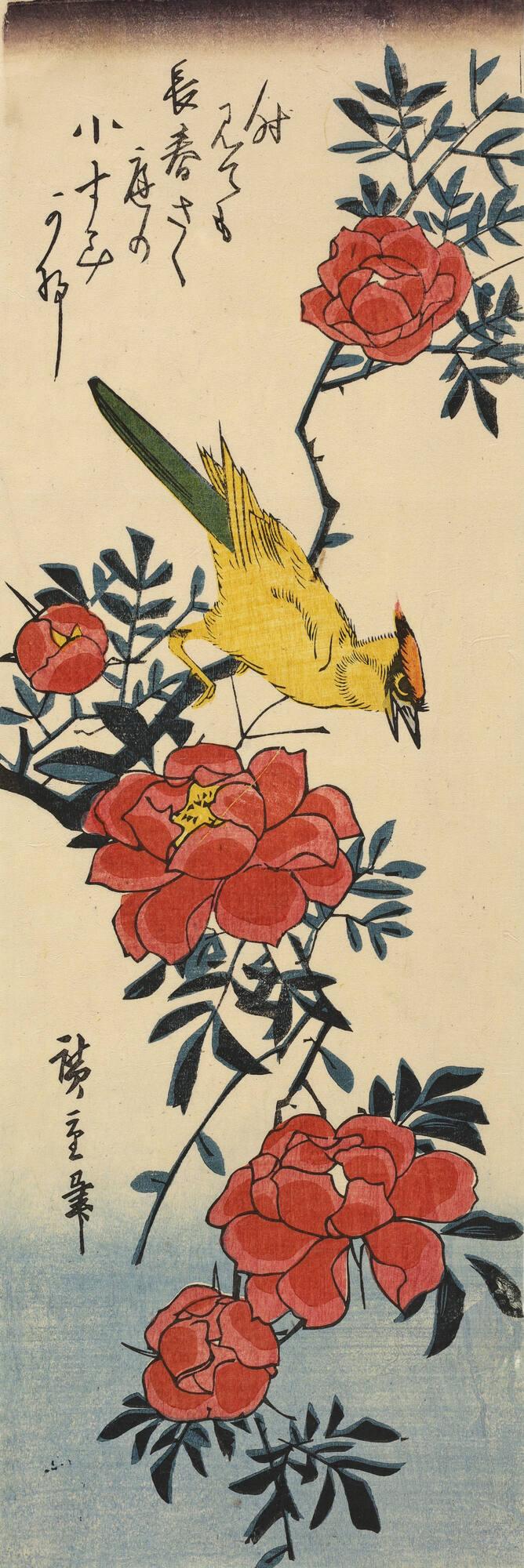 Yellow Bird and Roses