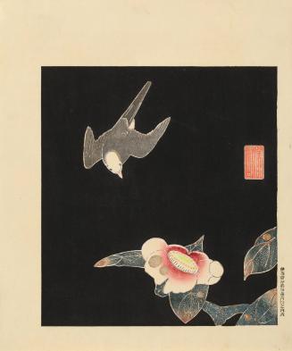 Swallows and Camellia, no. 6 from the series Six Genuine Pictures by Ito Jakuchu