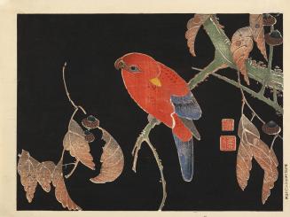 Parrot on an Oak Branch, no. 5 from the series Six Genuine Pictures by Ito Jakuchu