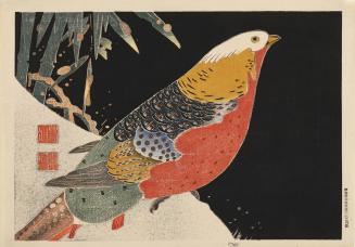 Copper Pheasant in Snow, no. 1 from the series Six Genuine Pictures by Ito Jakuchu