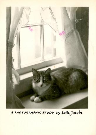 Postcard from Lotte Jacobi to Gloria Werner (A Photographic Study by Lotte Jacobi)