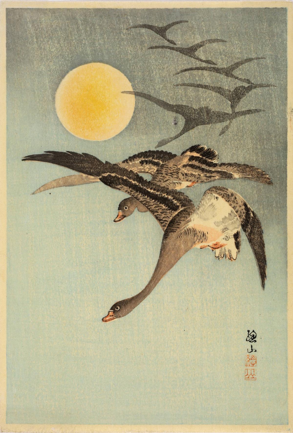 Geese Flying by Moonlight