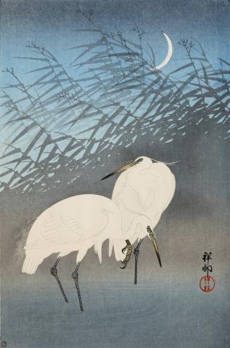 Egrets in Reeds