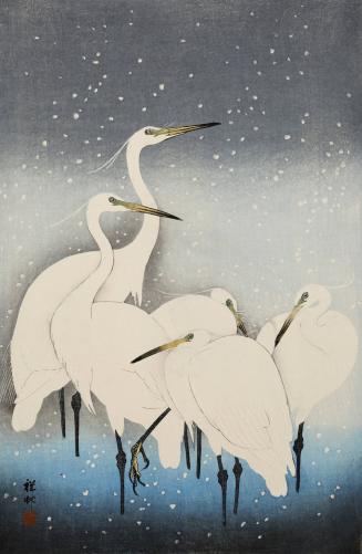 Egrets in Snow