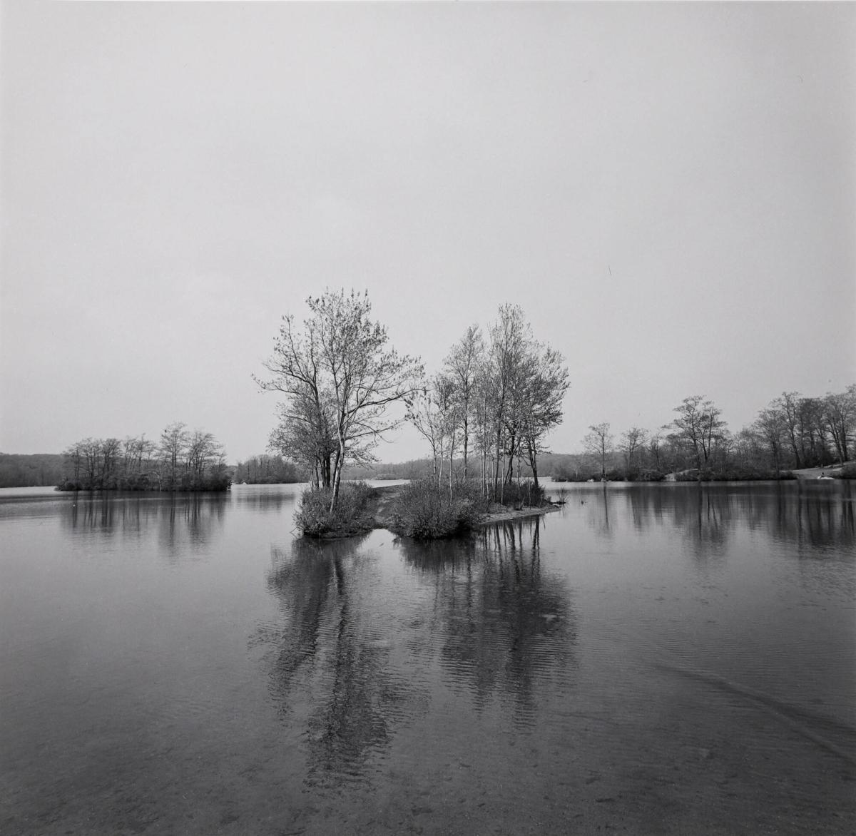 Untitled (Lake with Eleanor on far shore)