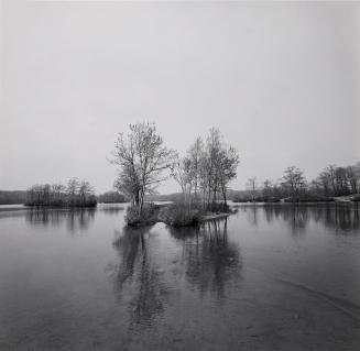 Untitled (Lake with Eleanor on far shore)