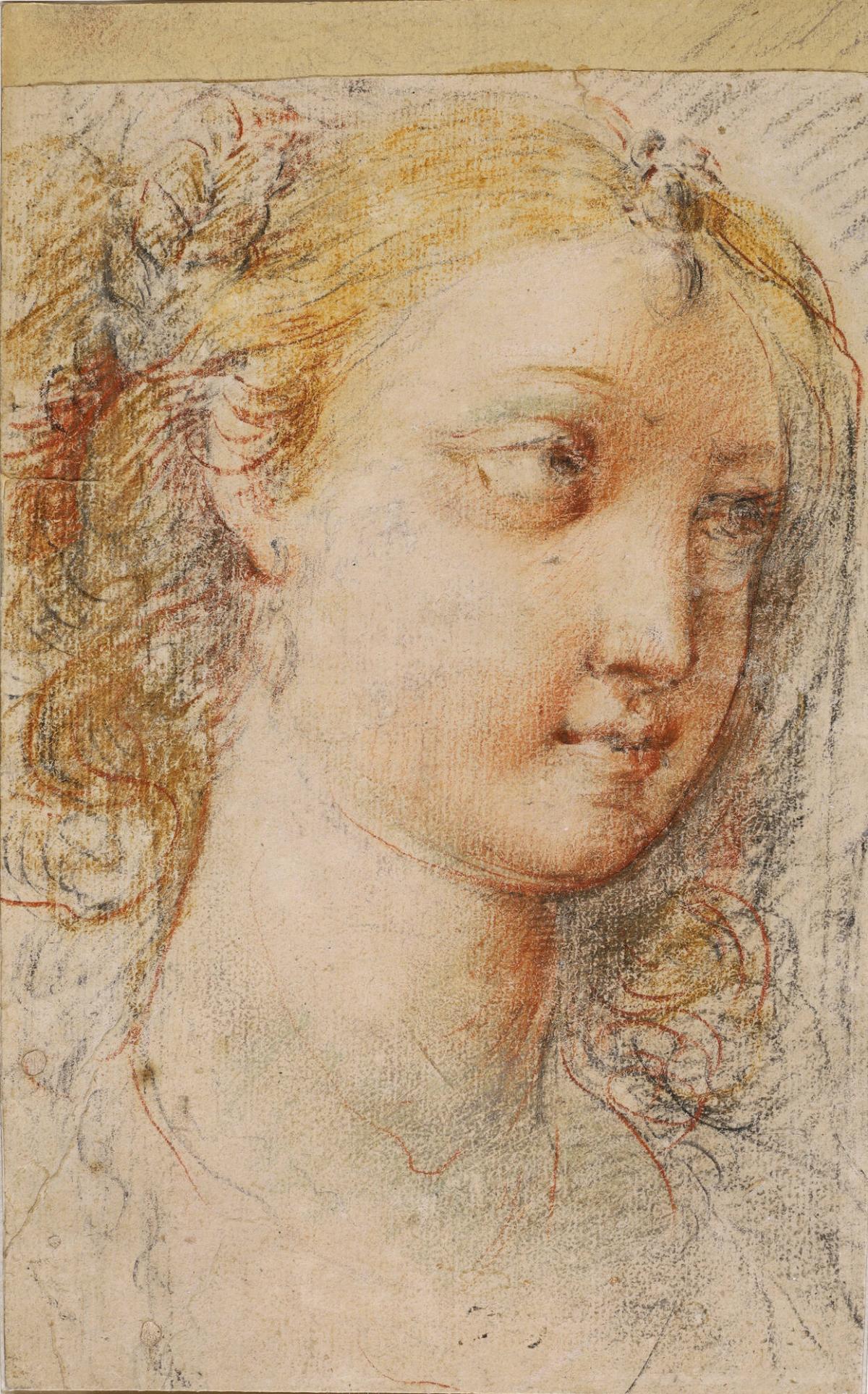 Head of a Young Woman